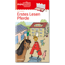 AH Erstes Lesen Pferde/Fußball