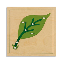 Botanische Puzzle: Blatt