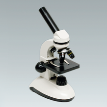 Einstiegs-Mikroskop