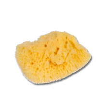 Kleiner Naturschwamm