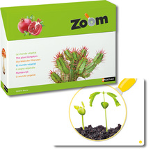 Zoom – die Welt der Pflanzen