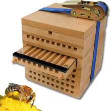 Zuchtset Wildbienen